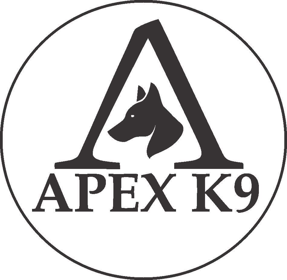 Apax K9 Logo